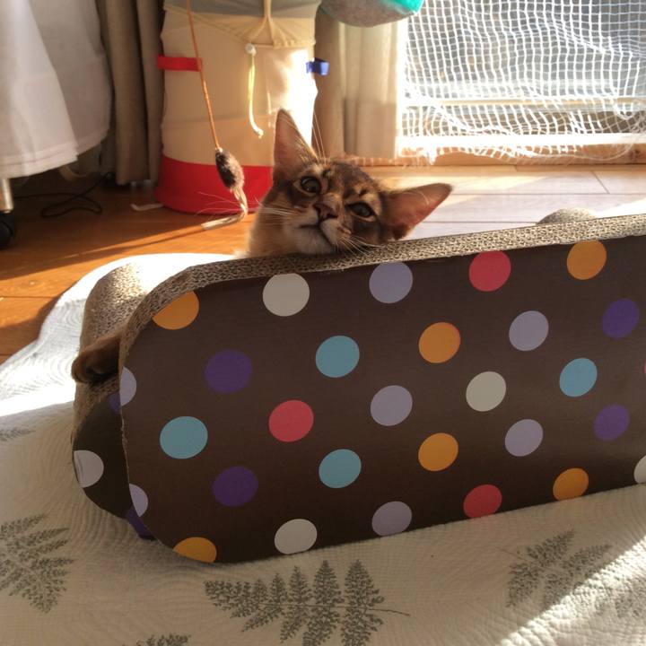 8722b5a2 a009 4181 b93a 8ea616950232 1576649416300