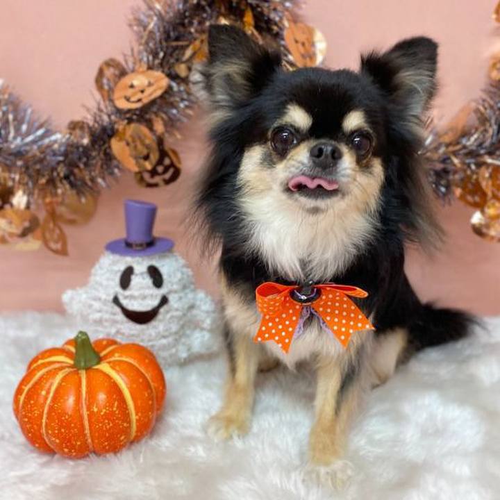 8722f3d7 164d 4af1 8909 8e42bc0dcd9e 1634280095560