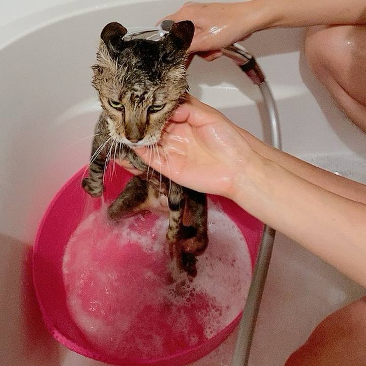 872351e8 ebf1 4fd6 8a39 00e4dbc66527 1717661208812