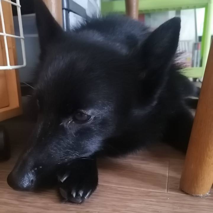 8723593a d253 4fcd b0aa 3e913cd955db 1630711394164