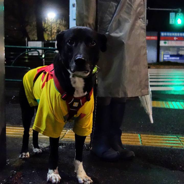 87238a0d 8a7a 42cc 9f14 488c94cead32 1615631757551