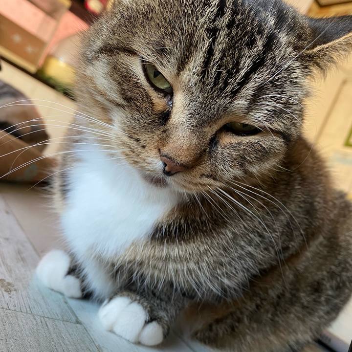 8723f661 51df 4824 9750 0fbe9dcdd467 1612422041900