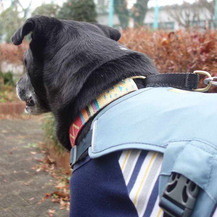 872403d2 cd8c 4294 a4b7 4f1d5107ce3b 1704242654666