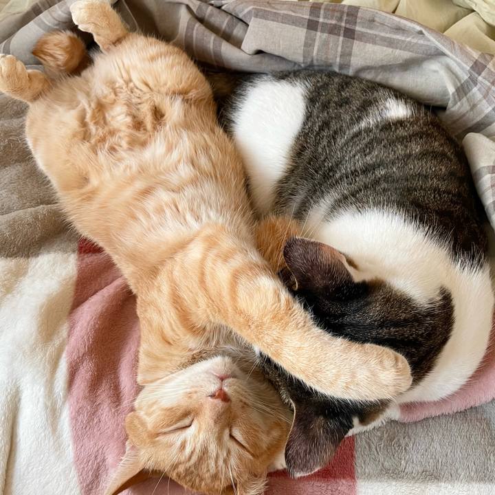 8724307b 12a0 4463 914f 8834c576bbe6 1764403199287