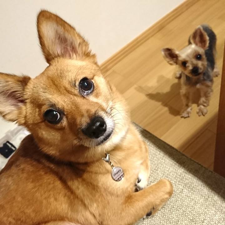 87247c2b 454b 416d b63c 899b75d792c4 1536587647871