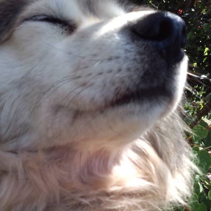 87248680 1ae5 493c a8dd 79b87e37acb3 1585417253770