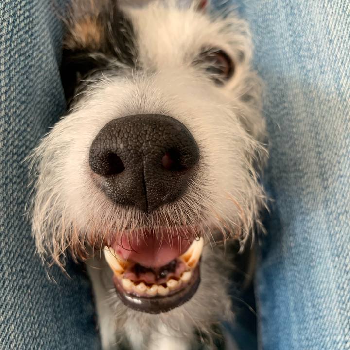 8724c321 7048 4ee9 9474 9d3437e9b57a 1697092582263