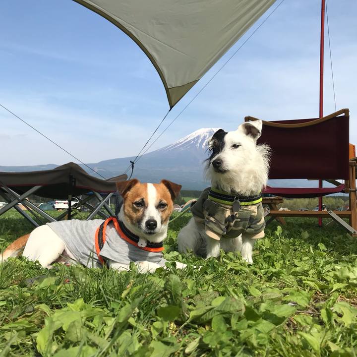 8724d8bb 100e 43d0 8829 ab2dba09f11a 1525155025856