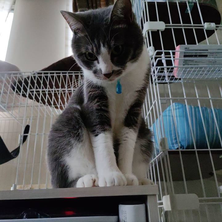 87257aa8 6fdf 4823 89a9 5bff69dcea7f 1656825285778