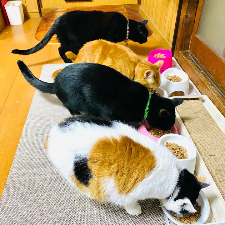 87259e36 dee1 4106 970b 0f3f6ae756ef 1743768749407