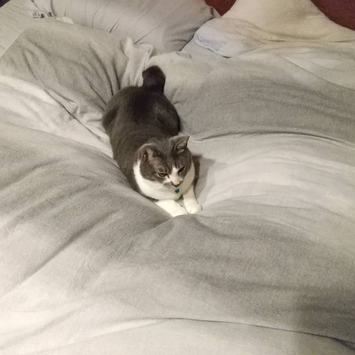 8725adfb 4d9a 46e1 9f01 944927ed5e37 1638886366093