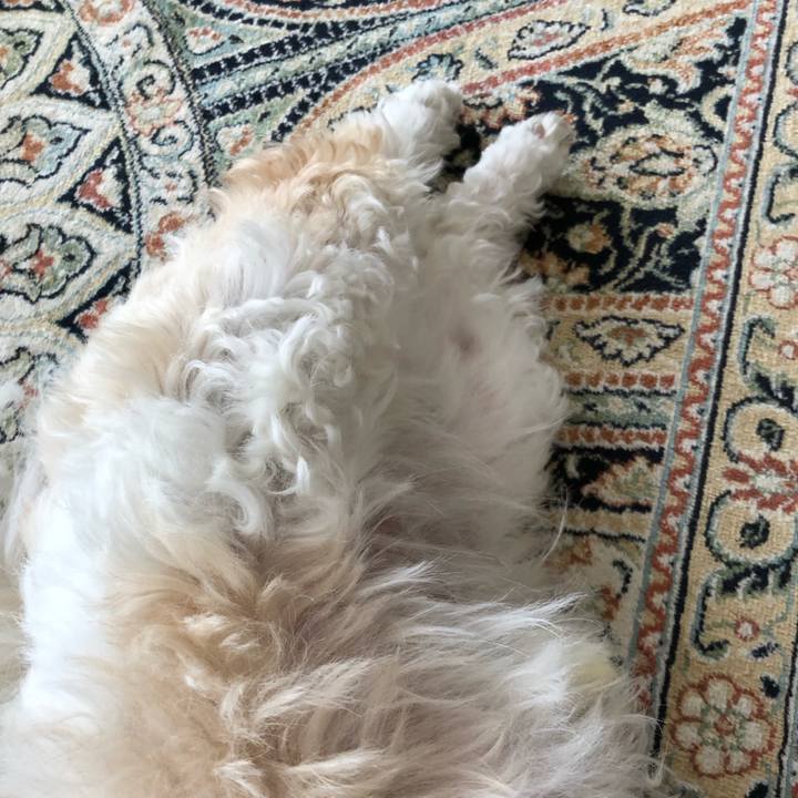 87269197 e456 4300 8da4 0376cfa179f7 1556934696765