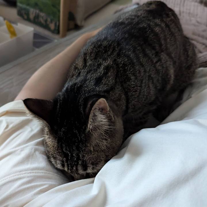 87269fef 65b4 43eb b077 3031fc5f1740 1719207411431