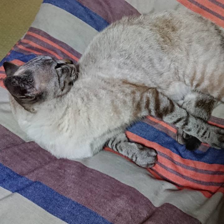 8726b0a7 17d2 43e5 8d8b 45073fccf0ae 1529798256428