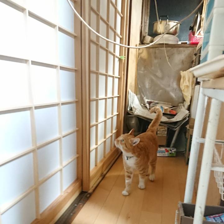 8726b148 8be2 4bde 99d0 b5d53a89c98e 1606295657502