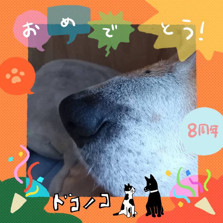 87272f78 761d 4d19 841f 6abce183ff19 1718428489069