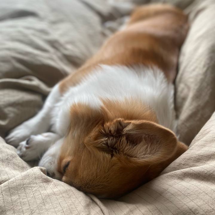 87272fd0 f2cf 4dc3 ba35 23d3fac35ed8 1710809845845