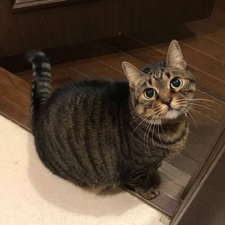 87277147 53a9 4be2 810c 7712cea80211 1578585415460