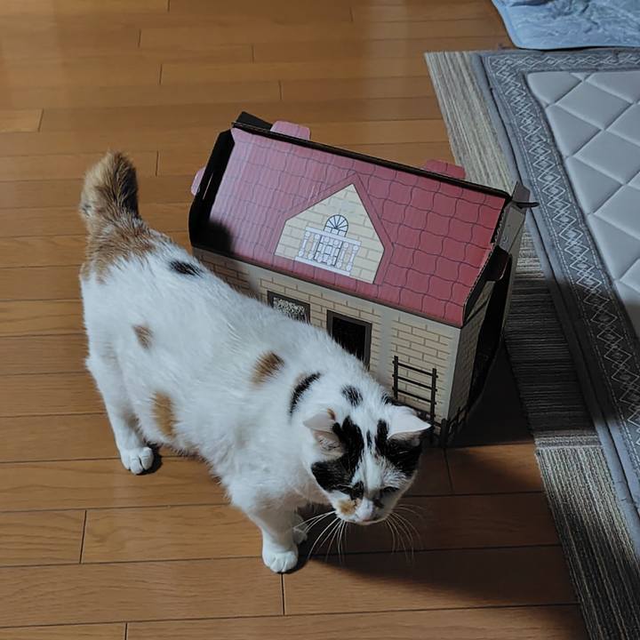 87277f91 82dc 4fec 8cf5 598309da4af0 1728476367745