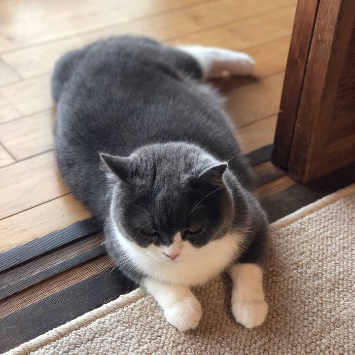 87278fe3 cd3f 41c4 91c3 f5cd39205da3 1561073647390