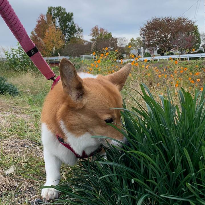 87279cd8 7f38 410a 95b5 4cf96f84d179 1699843756755