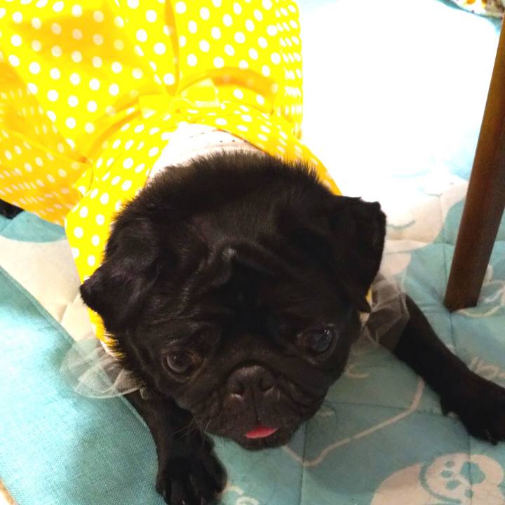 8727bced 177e 47ea 9eb4 def468271b38 1595574108623