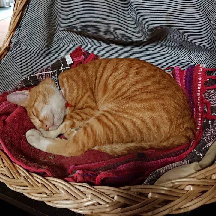 8727bde0 0aa6 450a 8d72 3867e396edc9 1569193515435