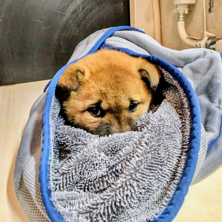 8727da09 113b 468d 9bde 7e2ccaa4a609 1773658894970