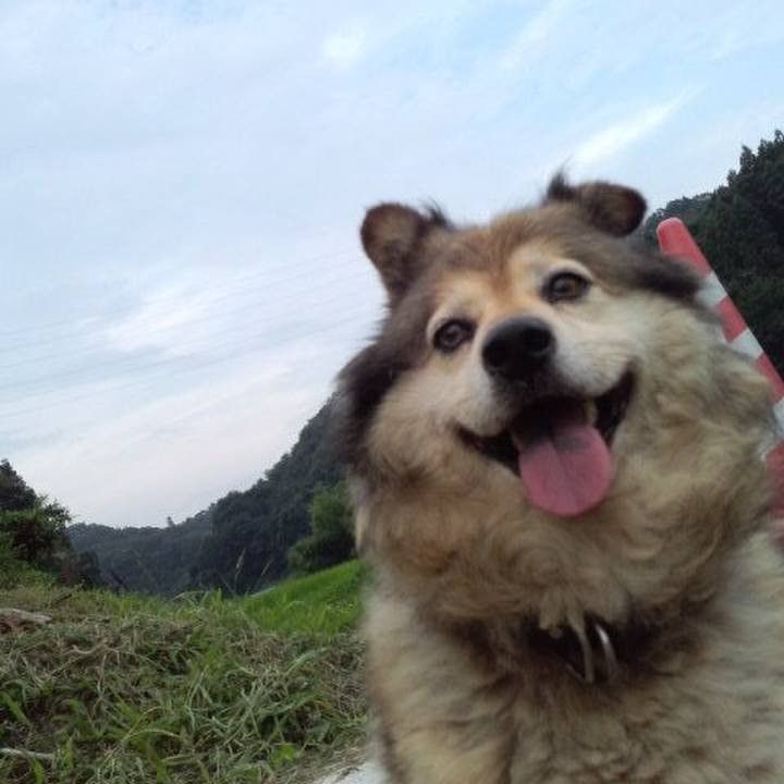 872809f0 9a02 4a76 8262 04bb890fbc63 1557709484415