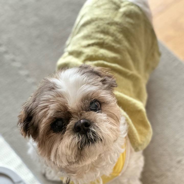 87287dbb 9aec 4a04 8dee 22fffd232ae0 1687407907633