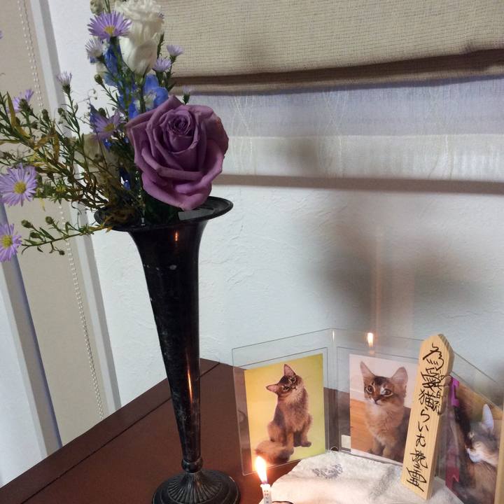 87288360 ccb7 4fde 8144 40feed6b6c6b 1569748946928