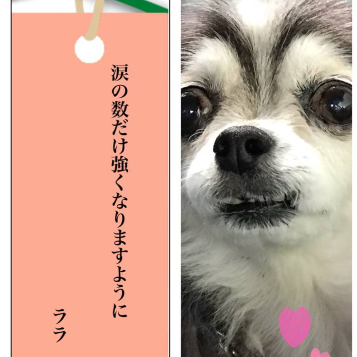 8728a4ed 7259 4be0 9e9d 3bf383db249c 1751909563039