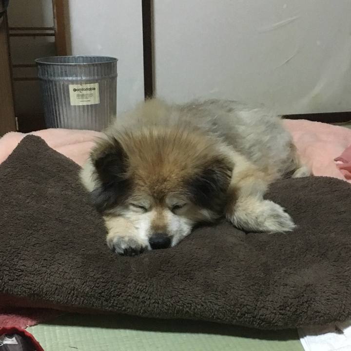 8728ab89 8af3 41ca ad82 8117fe6bc3bf 1613523404787