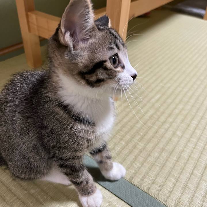 8728b87d 4926 4dd3 9397 38a7c49ce421 1688694523305