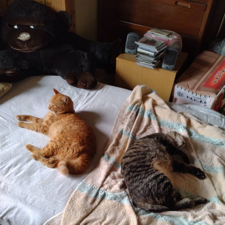 8728b97f 1d61 4f26 85b4 2234f4296e1e 1695114807788