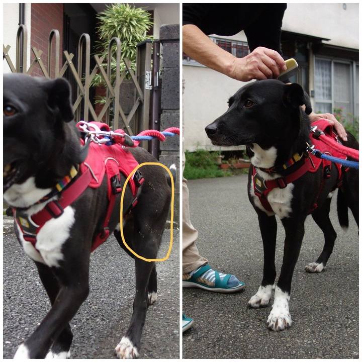 8728c2cf f21f 4962 99f3 df13f12b5b35 1601509213095