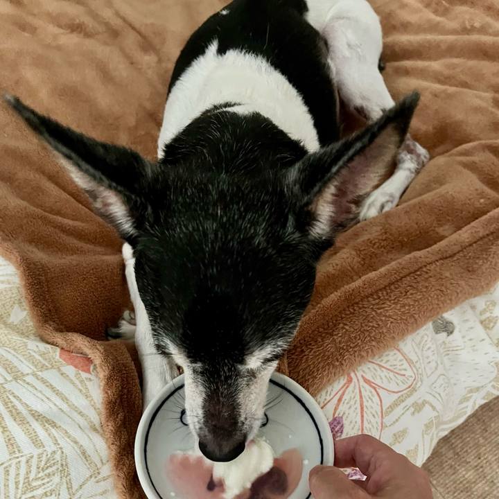 8728c454 afe9 4579 b822 fa987704dde7 1657578421039