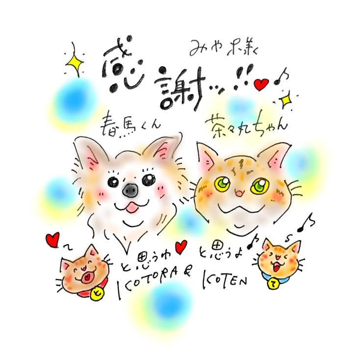 8728e57d a90f 4620 83cf 472ef87004e6 1573491585048