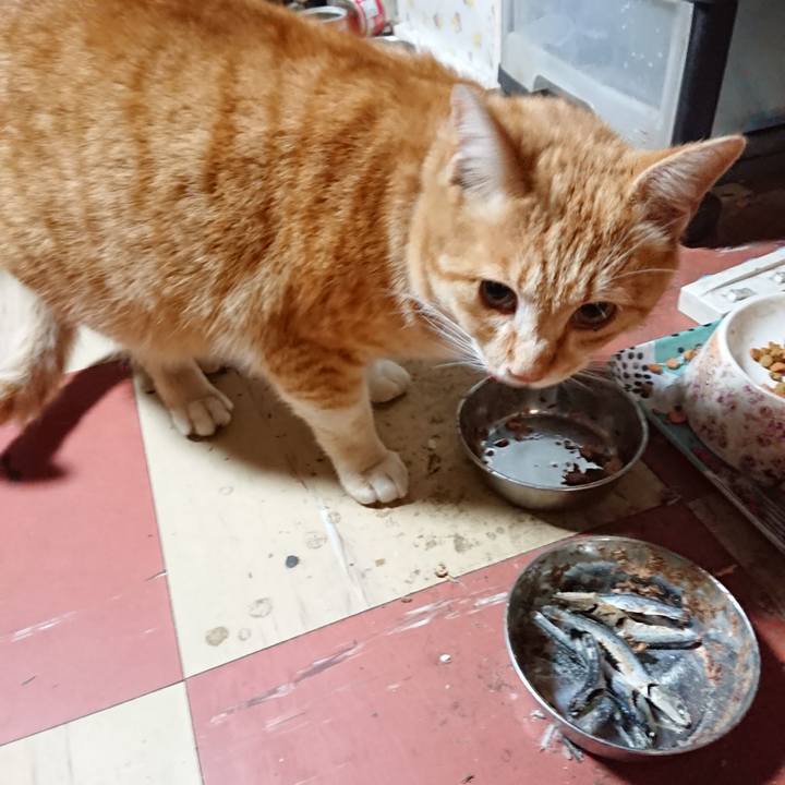 8728fd67 49e2 4e4b 9a5b b746fd27a568 1586166669582