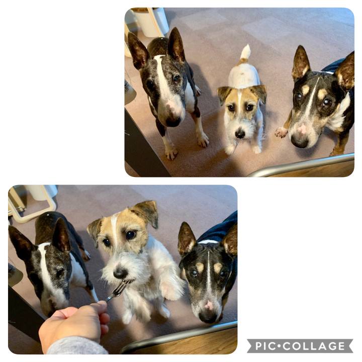 87290d07 461d 40e3 9465 4537c03ea68d 1602306874815