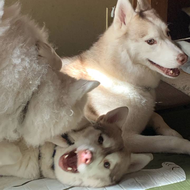 8729a22b 9d77 4f3c 9e98 fda79e85cf43 1638024379308