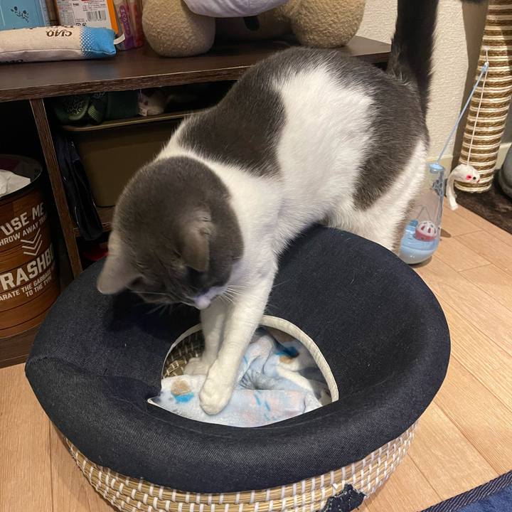 8729a3b9 8252 4bd4 88a7 bee5bfee704e 1671785791334