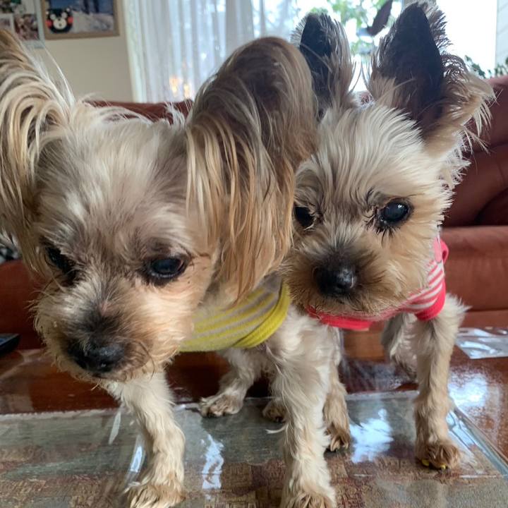 8729b3c7 0f44 4ab7 9775 9d71236d02d4 1684315719202