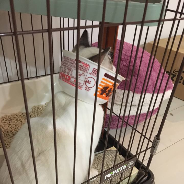 8729b420 e248 4278 9bed c698fd084c83 1514032454034