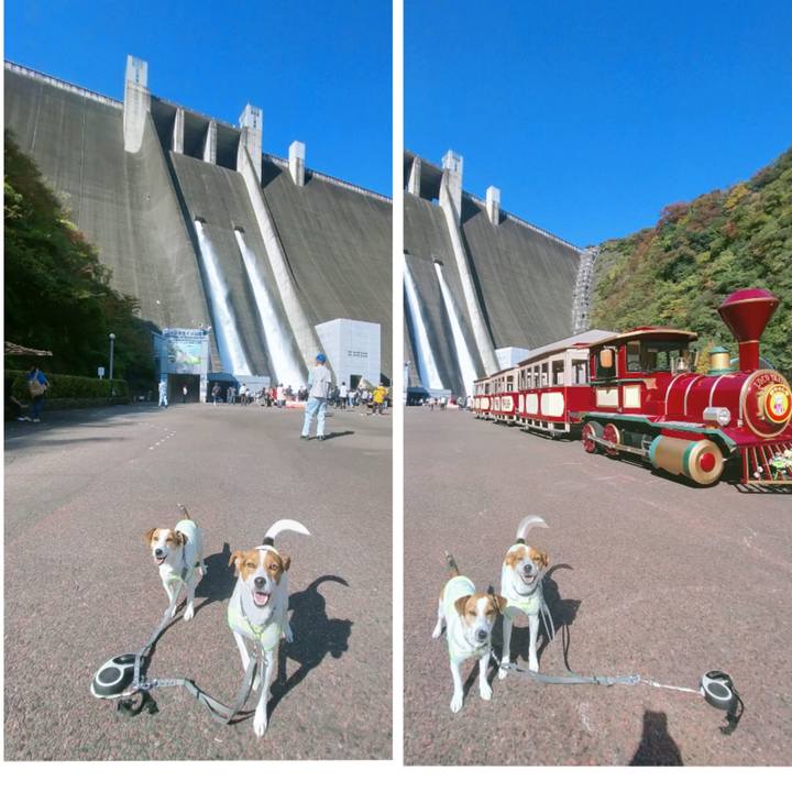 8729c585 b462 479b bed3 e059f113ccdb 1762502328288