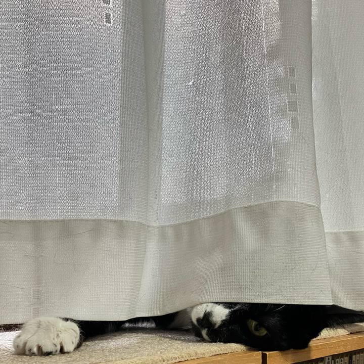 8729d8e8 c463 4e8e 9e77 44a397abbbe3 1719732208796