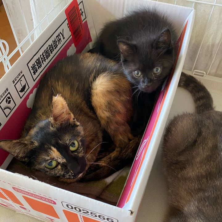 872a1d2f 031a 4639 b5f9 68aa397d3e13 1716958722886