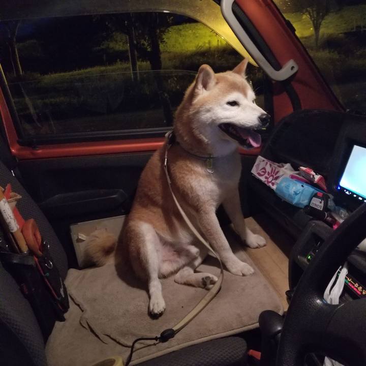 872a4db4 a894 49f3 8ea4 52ea7e9e3b6d 1662286536213