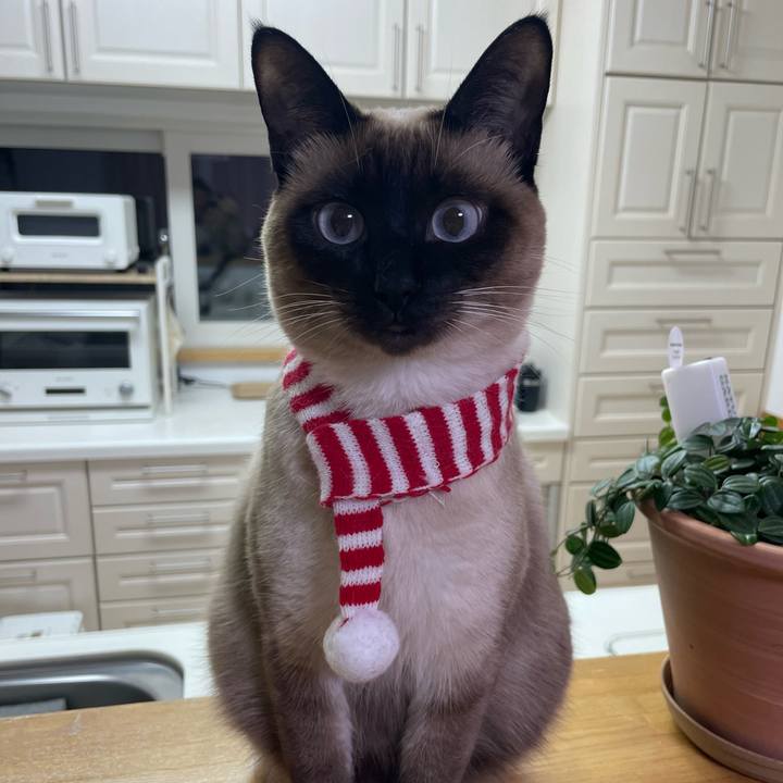 872a7cca 5446 4d4d 9aae 0a8d890ecbb4 1733085641113