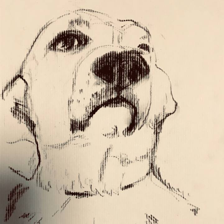 872aaed1 e8dd 4353 bc04 265a98c86cb0 1621011575237